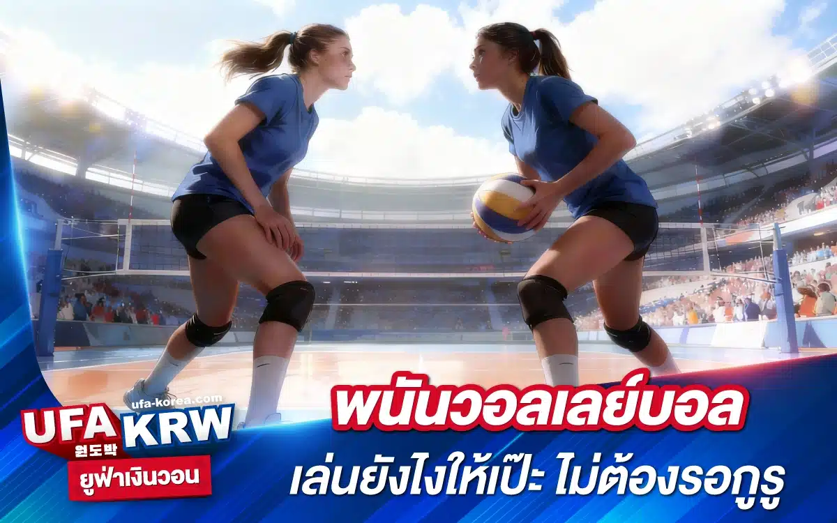 พนันวอลเลย์บอล เล่นยังไงให้เป๊ะ ไม่ต้องรอกูรู